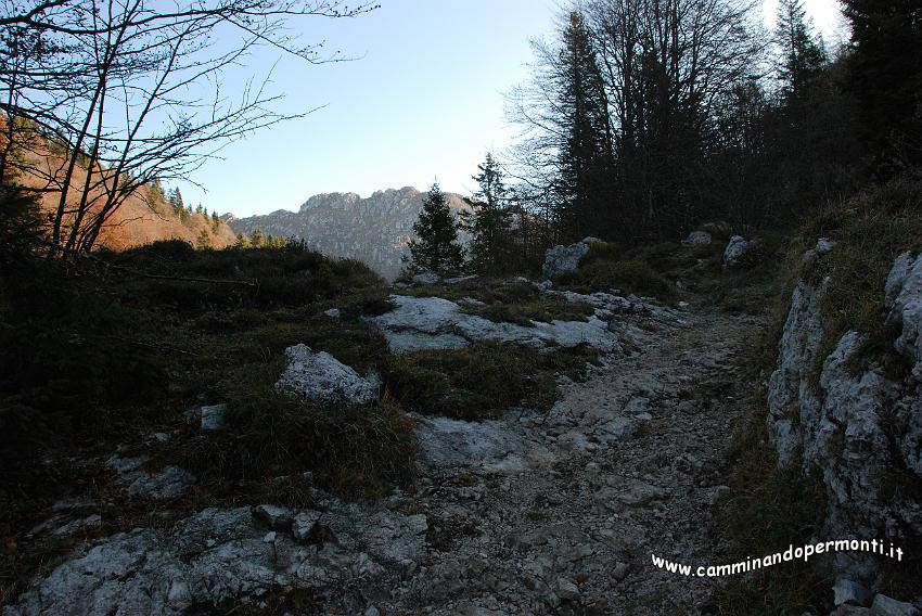 09 13021 Sullo sfodo il Monte Alben.JPG